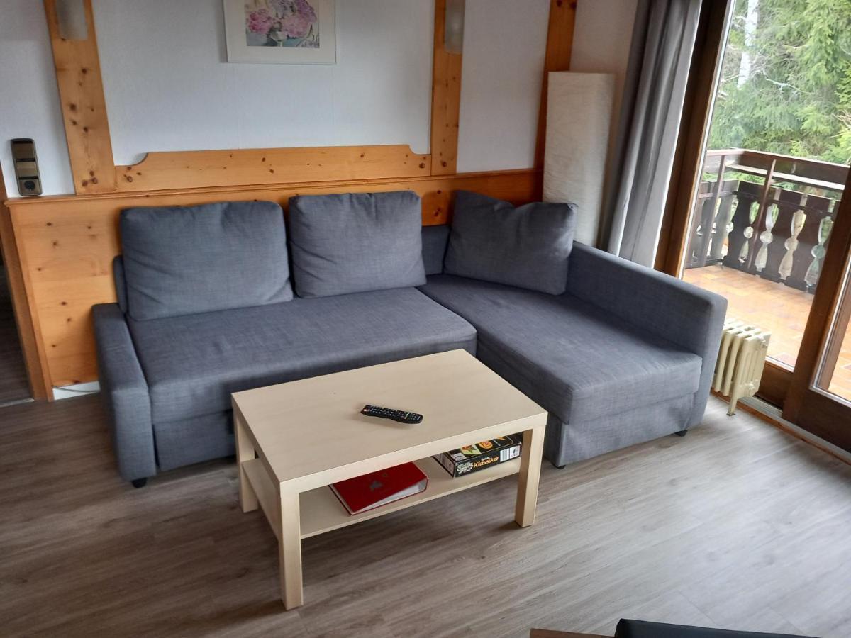 Haus Heidelberg Appartement Feldberg  Buitenkant foto