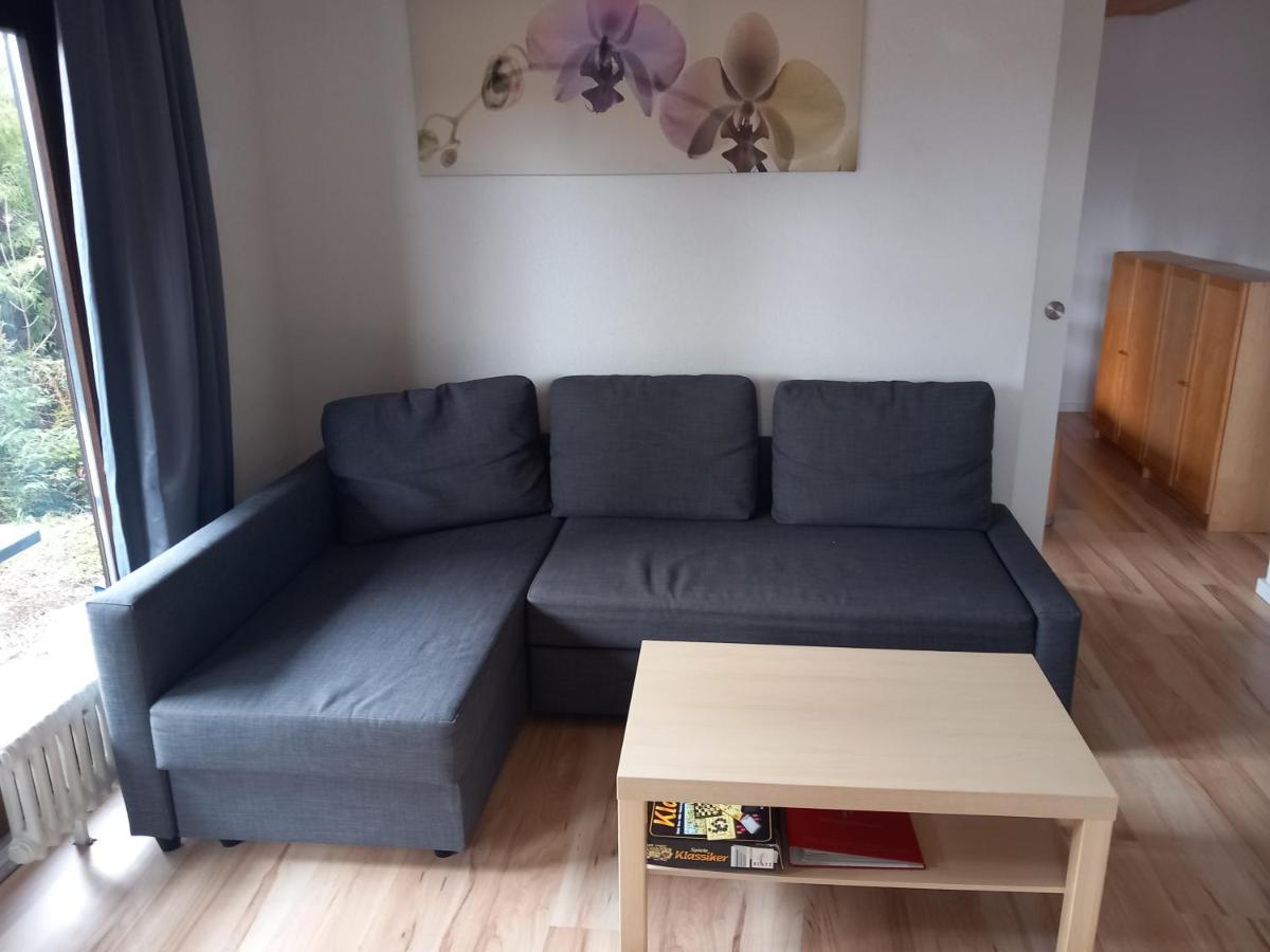 Haus Heidelberg Appartement Feldberg  Buitenkant foto