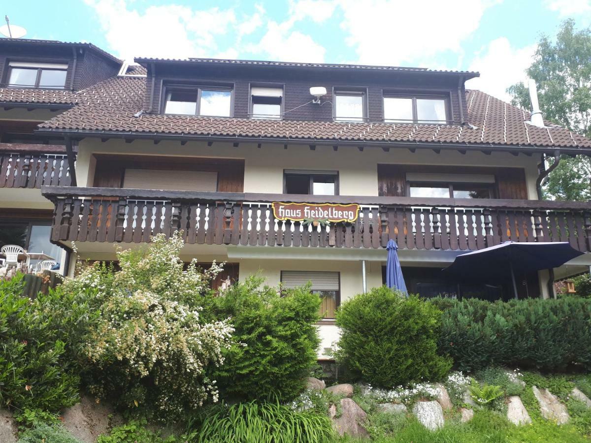 Haus Heidelberg Appartement Feldberg  Buitenkant foto