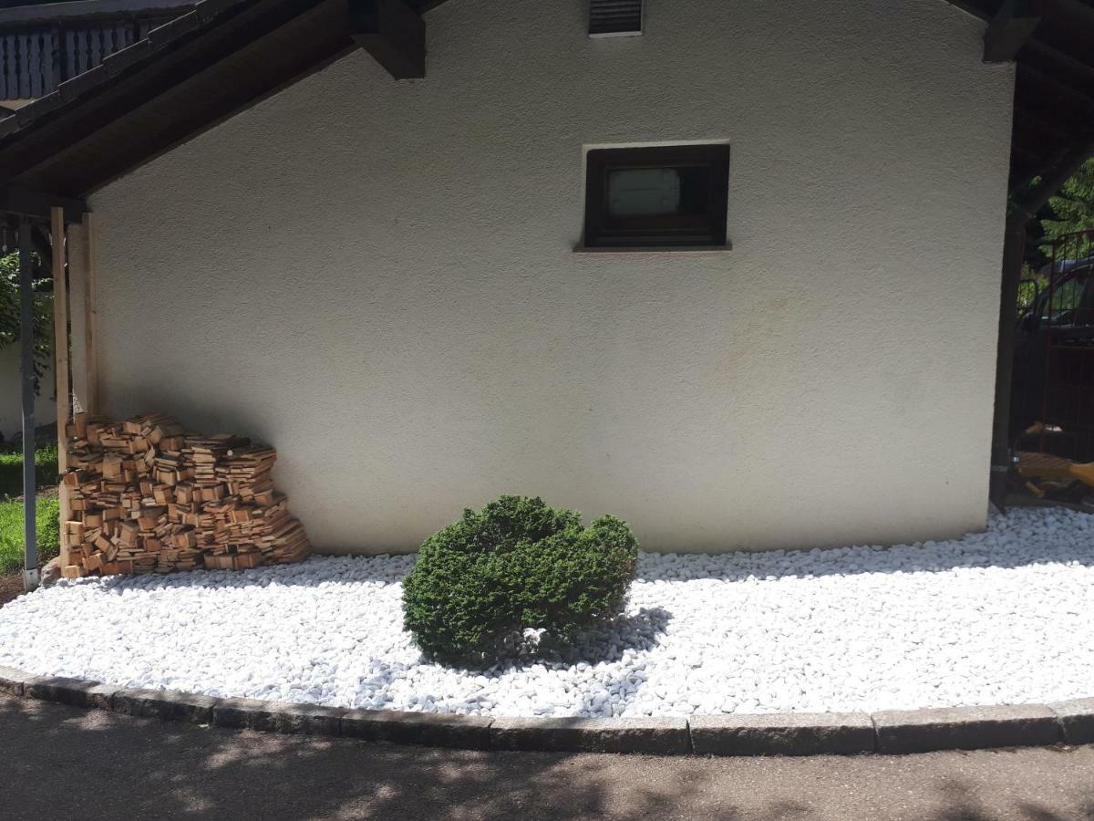 Haus Heidelberg Appartement Feldberg  Buitenkant foto
